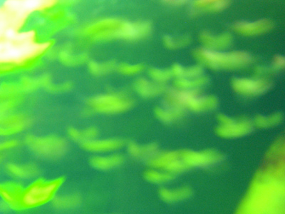 40DSCN3190.jpg